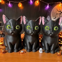 Black cats